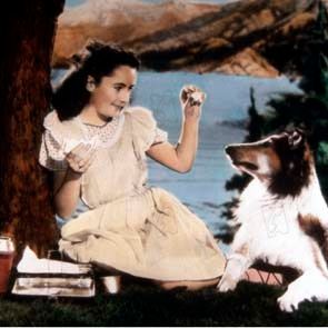 Bilder Fred M. Wilcox