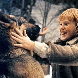 Bilder Jack Londons Wolfsblut