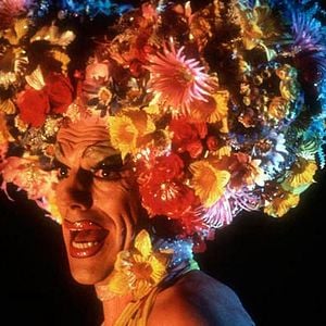 Bilder Stephan Elliott