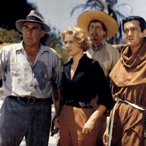 Bilder Grünes Feuer