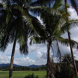 Bilder Wonderful Town