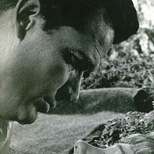 Bilder Julie Andrews