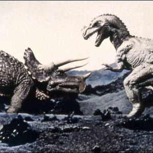 Bilder Eine Million Jahre vor unserer Zeit