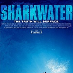 Bilder Sharkwater