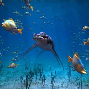 Bilder Sean MacLeod Phillips