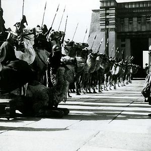 Bilder Land der Pharaonen