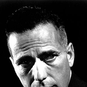 Bilder Entscheidung in der Sierra