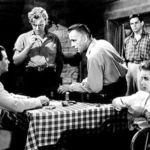 Bilder Entscheidung in der Sierra