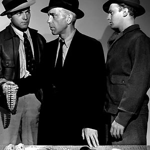 Bilder Entscheidung in der Sierra