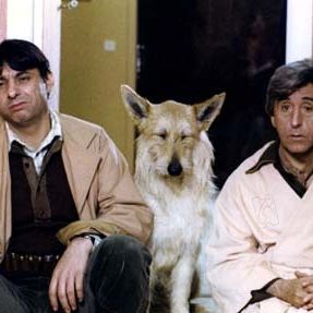 Bilder Georges Lautner