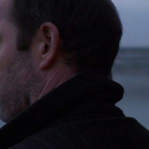 Bilder Robert Dauney