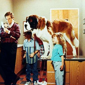 Bilder Ein Hund namens Beethoven