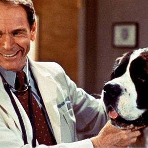 Bilder Ein Hund namens Beethoven