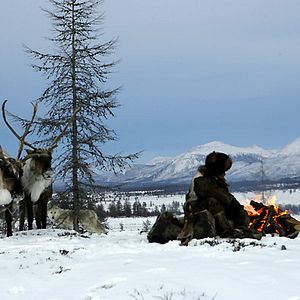Bilder Der Junge und der Wolf