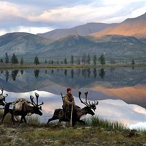 Bilder Der Junge und der Wolf