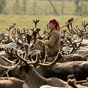 Bilder Der Junge und der Wolf