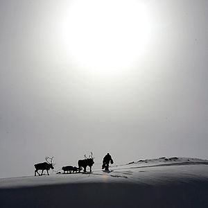 Bilder Der Junge und der Wolf