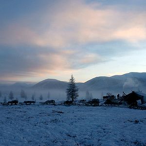 Bilder Der Junge und der Wolf