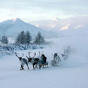 Bilder Der Junge und der Wolf