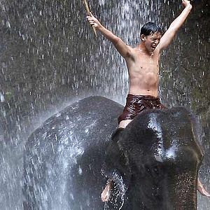 Bilder Olivier Horlait