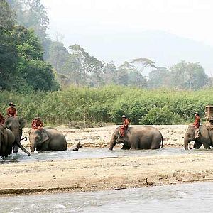 Bilder Olivier Horlait