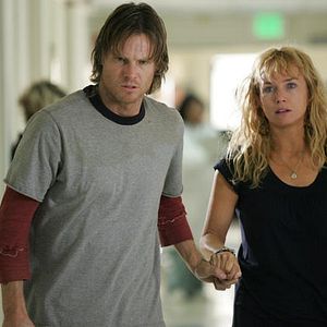 Bilder Brian Van Holt