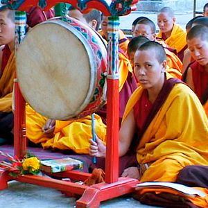 Bilder 10 Fragen an den Dalai Lama