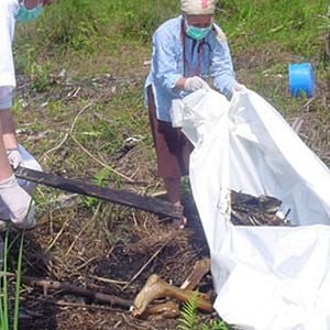 Bilder Alison Thompson