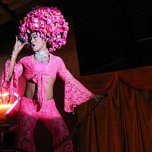 Bilder The Elephant King