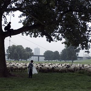 Bilder Palermo Shooting