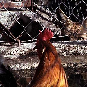 Bilder Our Beloved Month of August