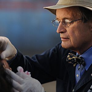 Bilder David McCallum