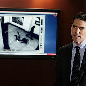 Bilder Thomas Gibson