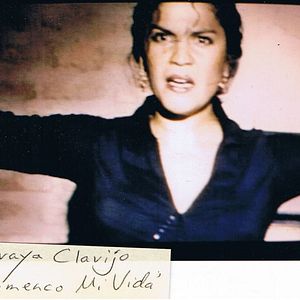 Bilder Flamenco Mi Vida