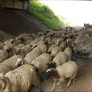 Bilder Beautiful Country