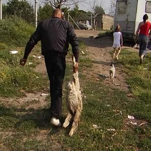 Bilder Beautiful Country