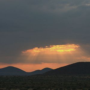 Bilder Wächter der Wüste