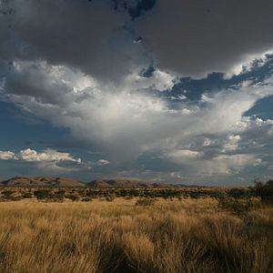 Bilder Wächter der Wüste