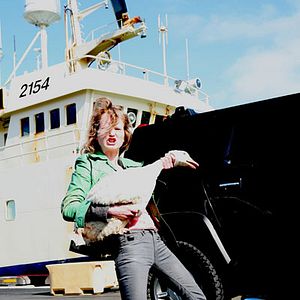 Bilder Didda Jonsdottir