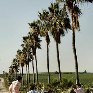 Bilder Reshef Regev Levi