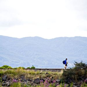 Bilder Wendy and Lucy