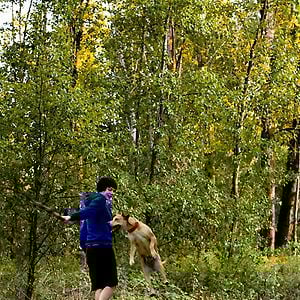 Bilder Wendy and Lucy