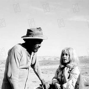 Bilder Stella Stevens