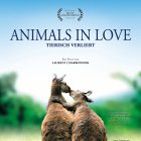 Bilder Animals In Love