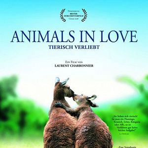 Bilder Animals In Love
