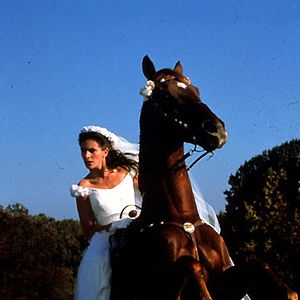 Bilder Die Braut, die sich nicht traut