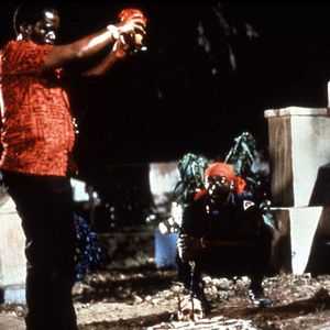 Bilder Die Schlange im Regenbogen