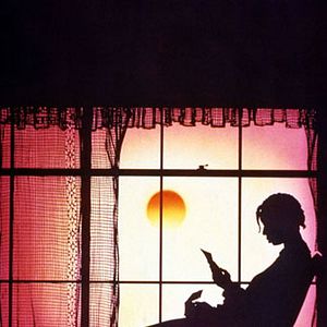 Bilder Die Farbe Lila