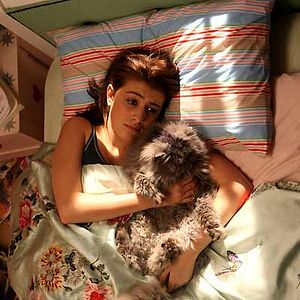 Bilder Frontalknutschen