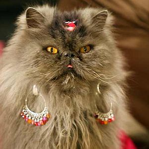 Bilder Frontalknutschen